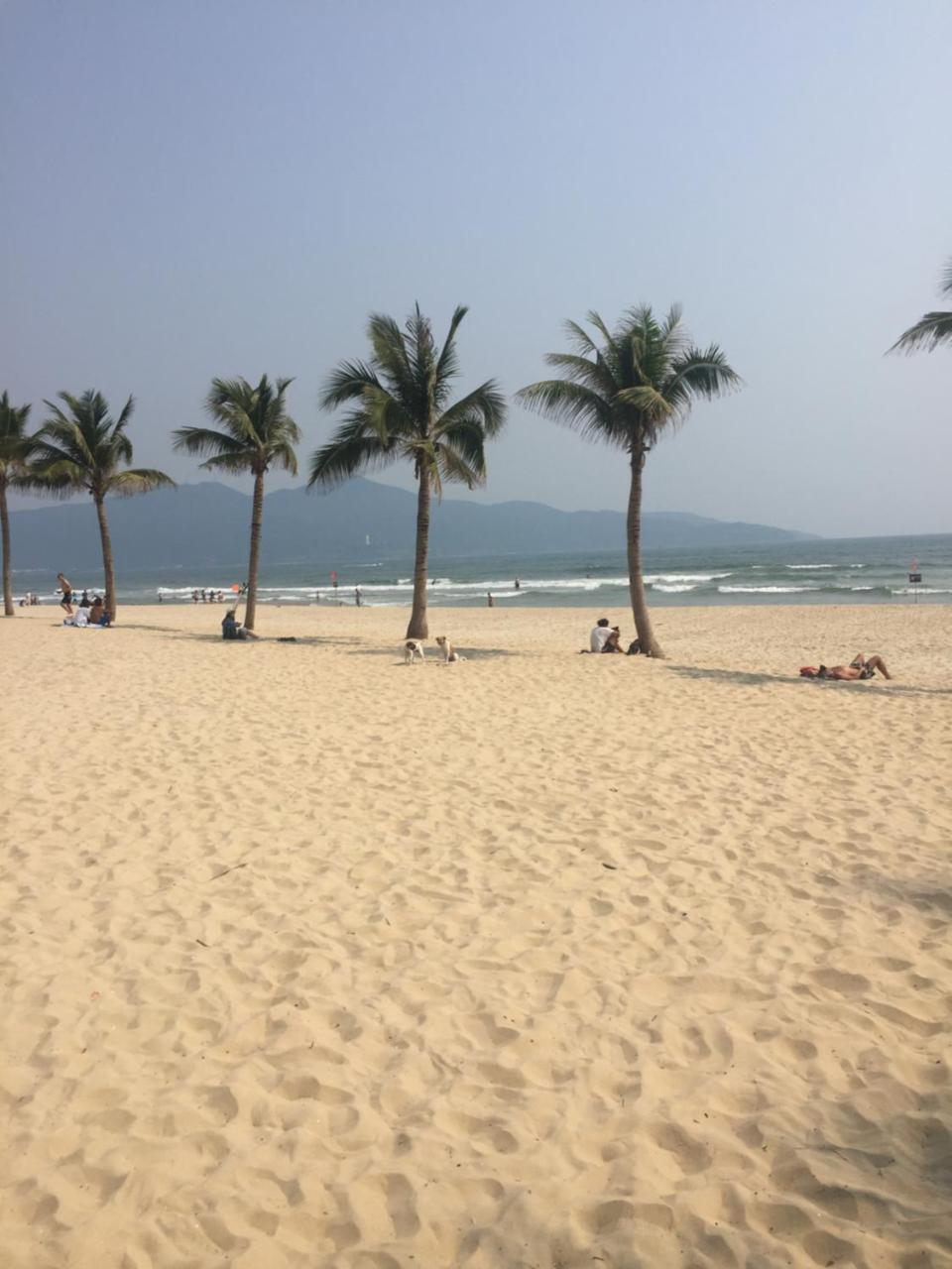 岘港 灯塔旅舍旅舍 外观 照片